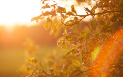 Oremos por un Amanecer en Amor y Paz